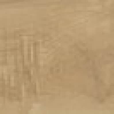 apple_tree_3431_apple_tree_3431_3431_apple_tree_none_small-min