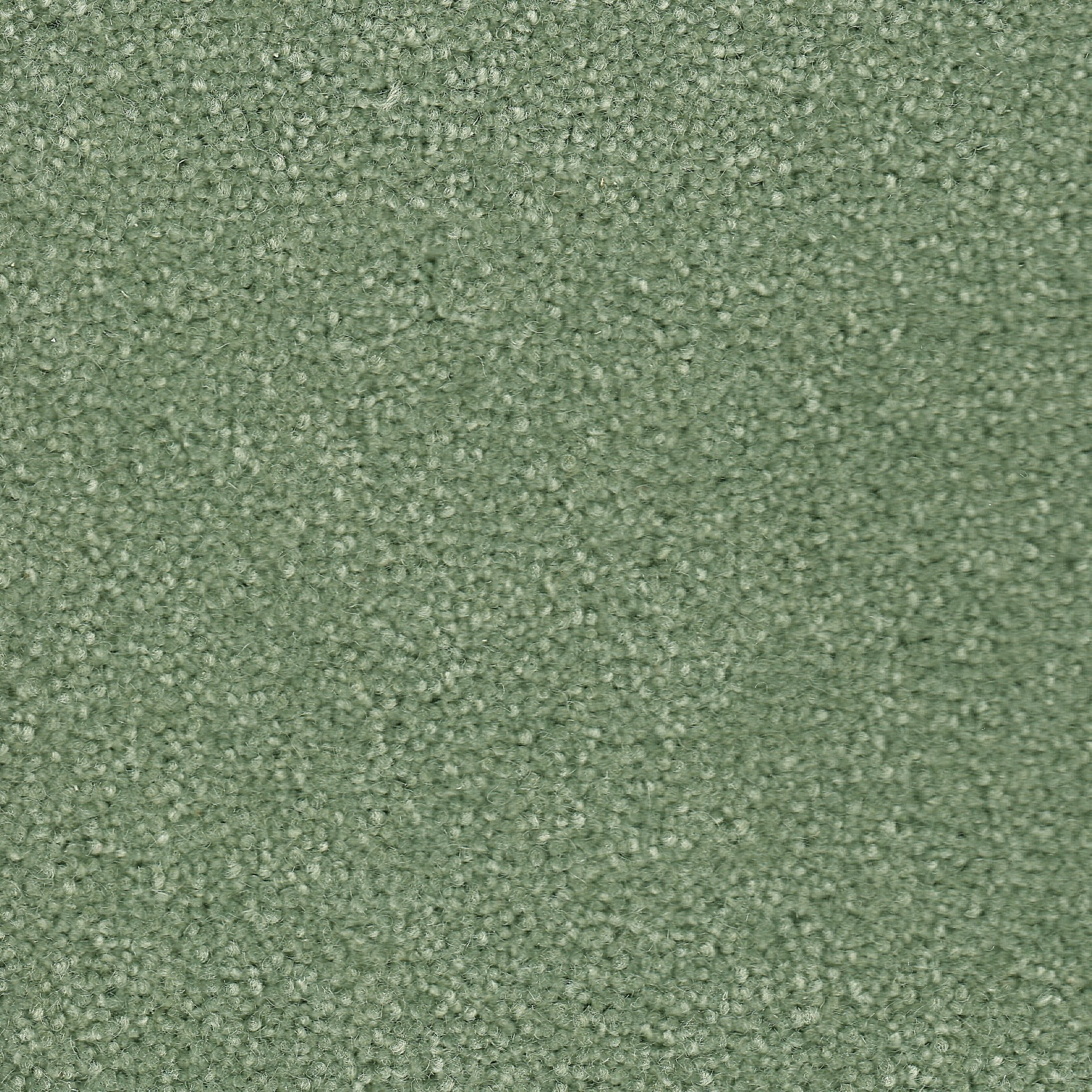 hc_plains_17._rosemary-min
