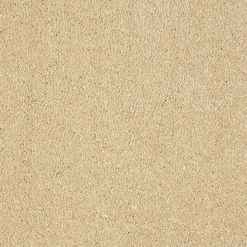 Stainfree-Indulgence-Sea-Shell