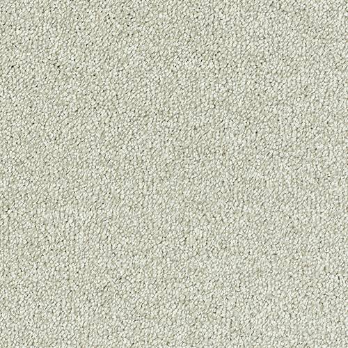 Stainfree-Sophisticat-Champagne