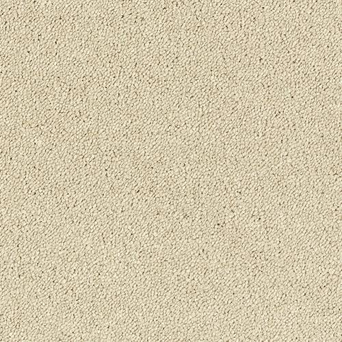 Stainfree-Sophisticat-Cotton