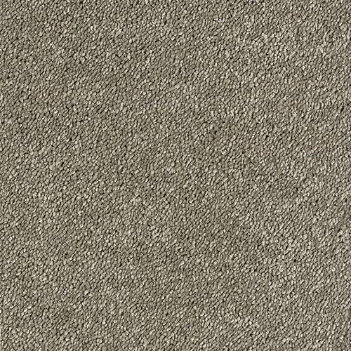 Stainfree-Sophisticat-Mocha
