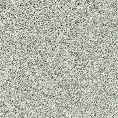 Stainfree-Sophisticat-Suede