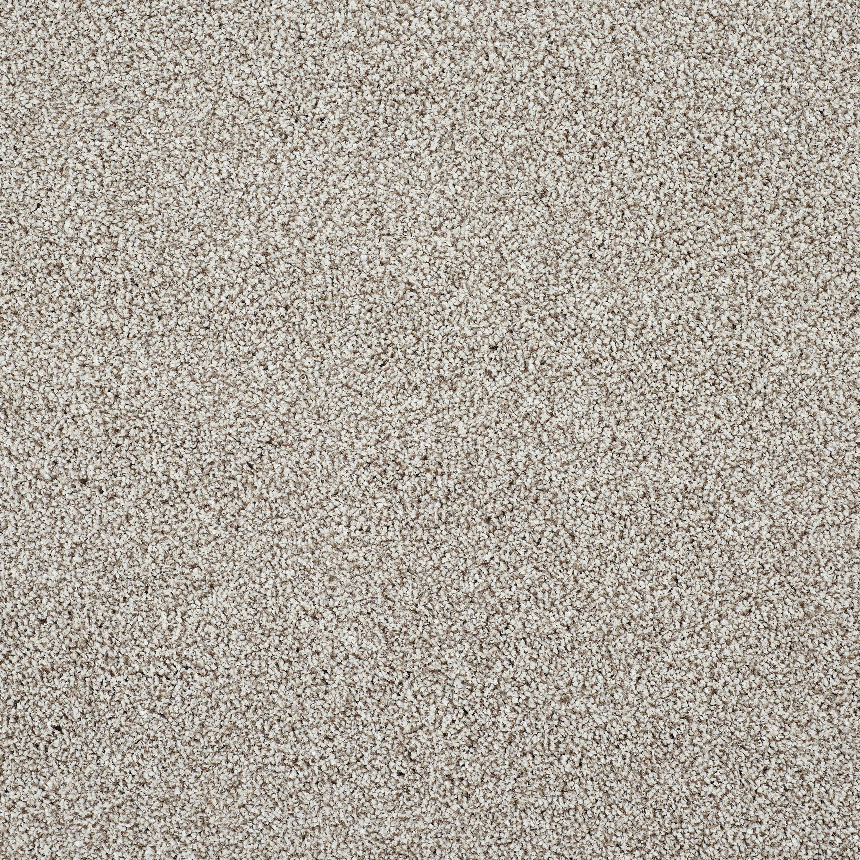 Stainfree Silkstone - Image 6