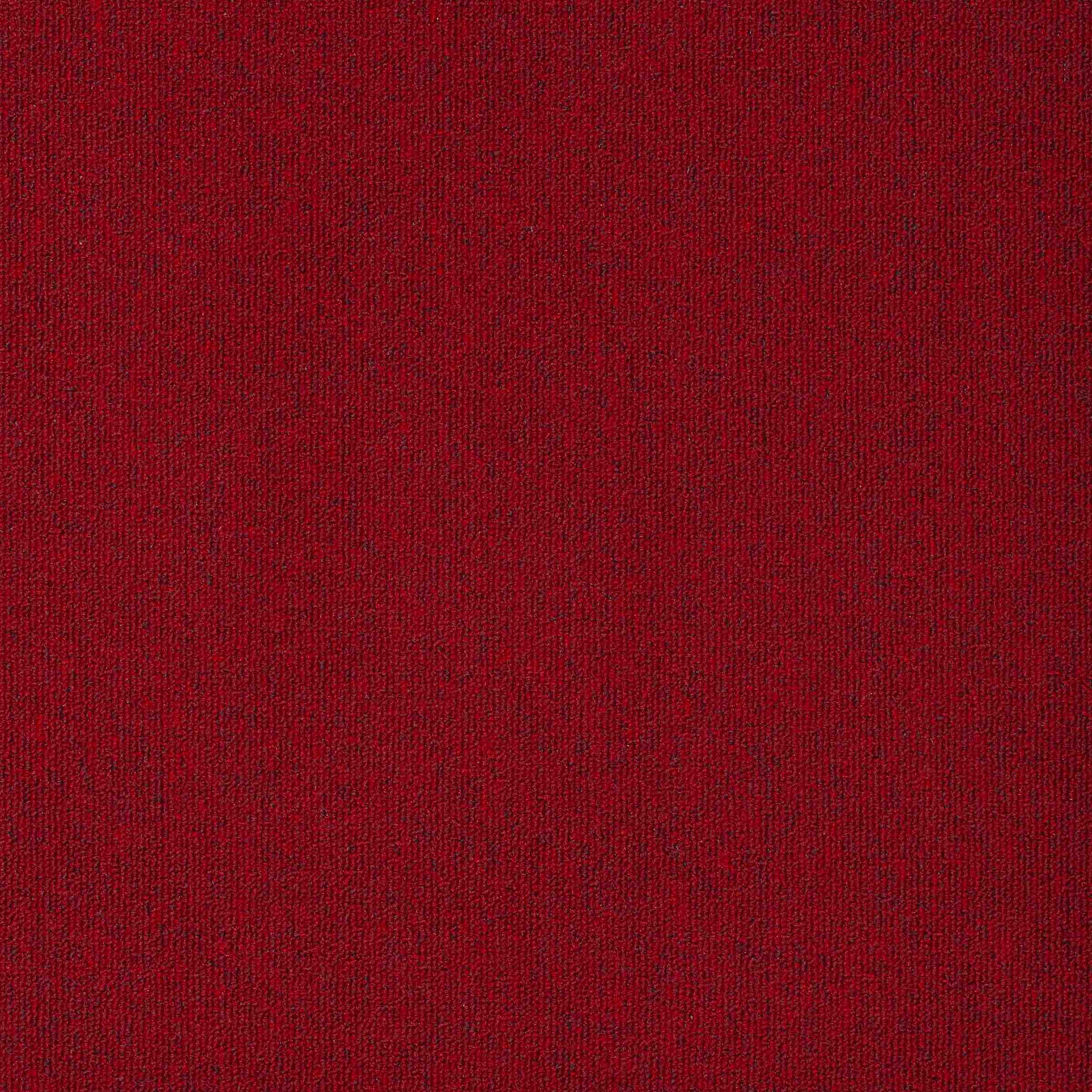 Diversity - Image 14