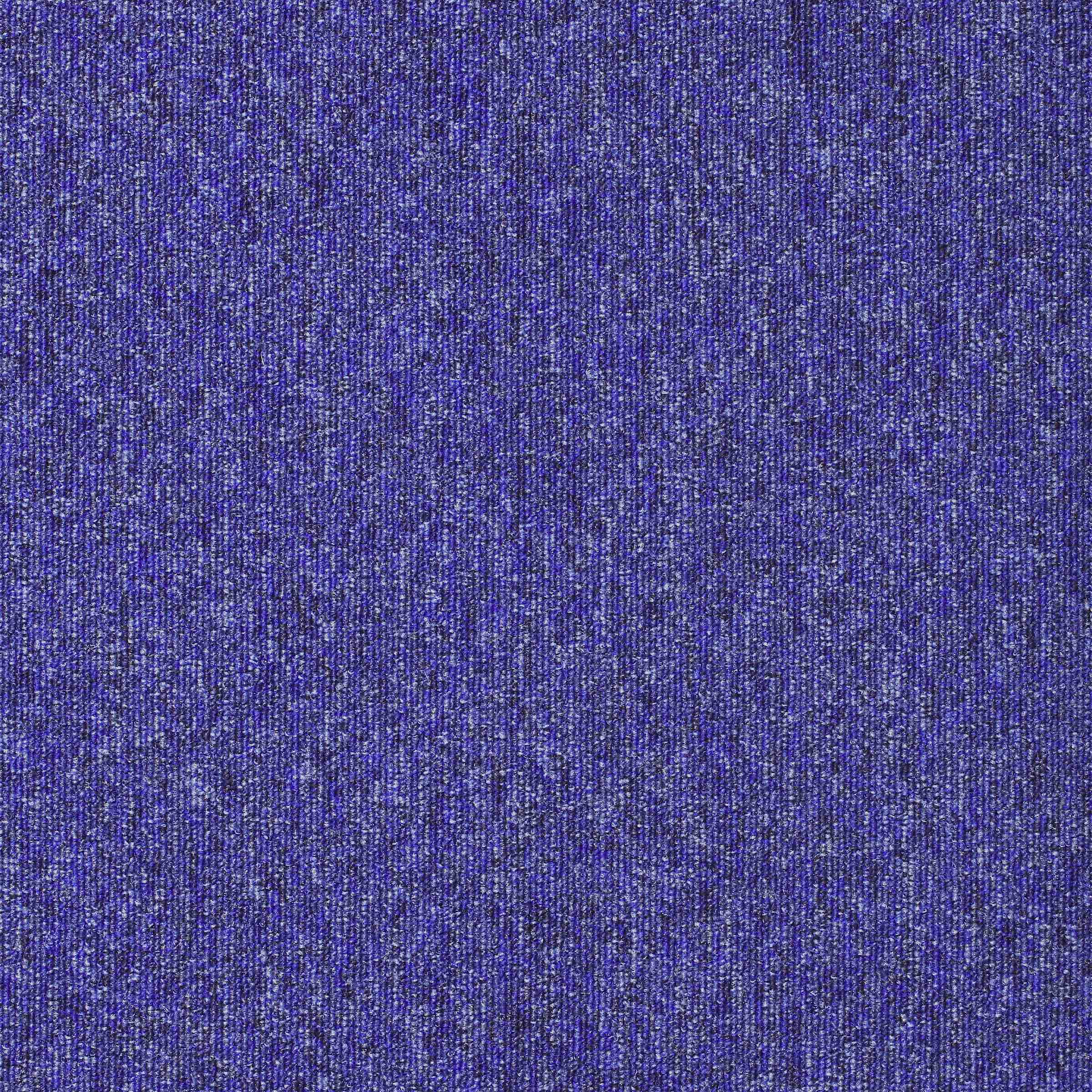 Diversity - Image 12