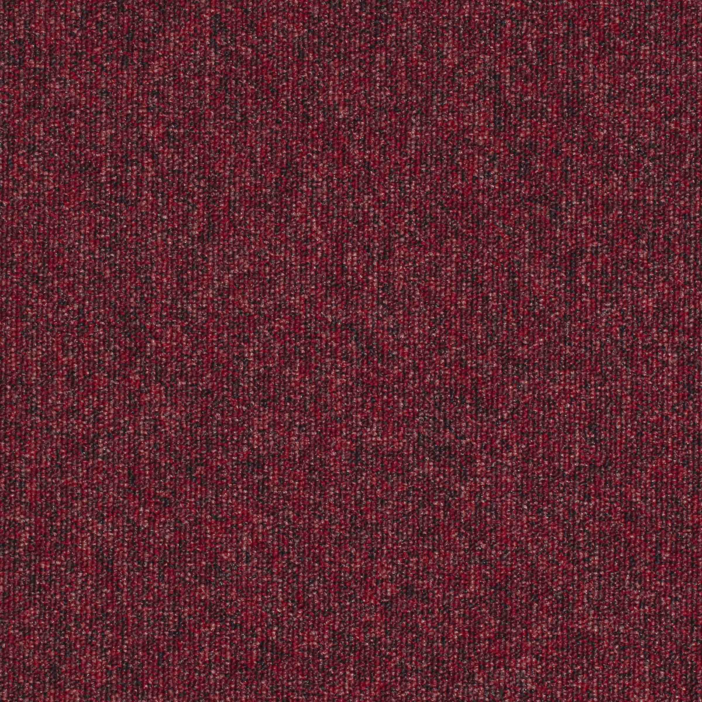 Workspace Loop - Image 16