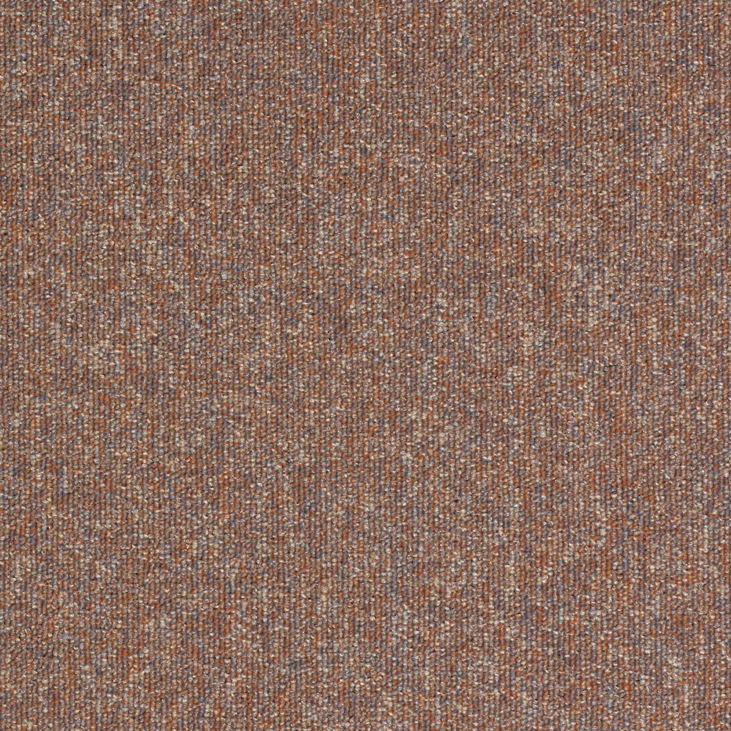 Workspace Loop - Image 18